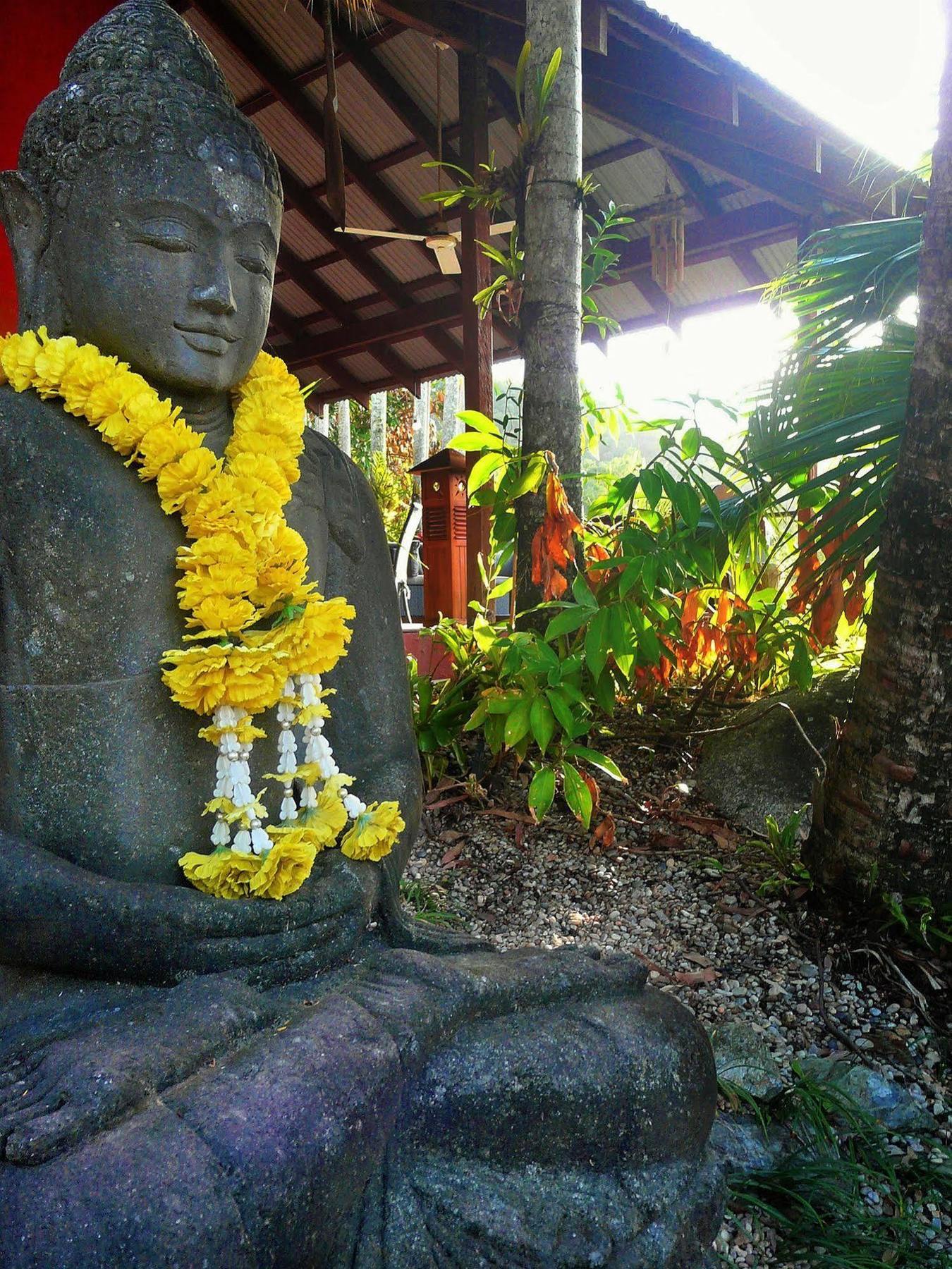 Mai Tai Resort Cassowary Buitenkant foto